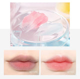 4/6/8pcs Moisturizing Lip Balm Set Whitening Moisturizing Base Natural Plant Base Moisturizing Crack Lip Care Jelly Moisturizer - Luxelstore