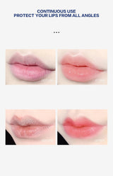 4/6/8pcs Moisturizing Lip Balm Set Whitening Moisturizing Base Natural Plant Base Moisturizing Crack Lip Care Jelly Moisturizer - Luxelstore